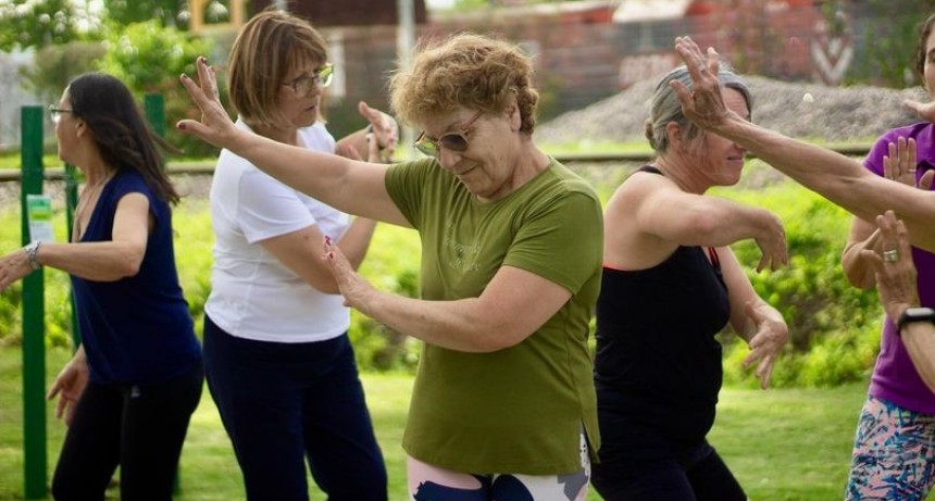 LOS ADULTOS MAYORES EN 