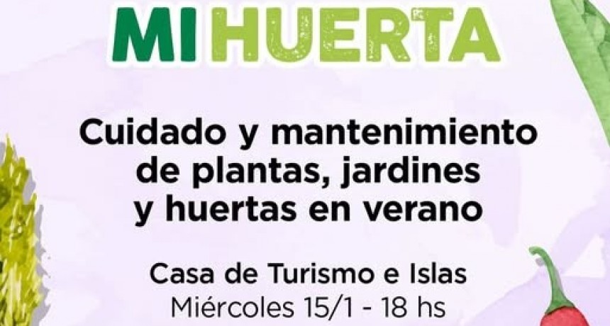 PROGRAMA MI HUERTA