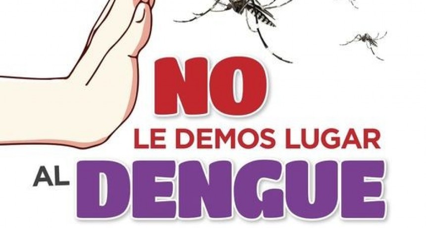 MEDIDAS PARA PREVENIR EL DENGUE