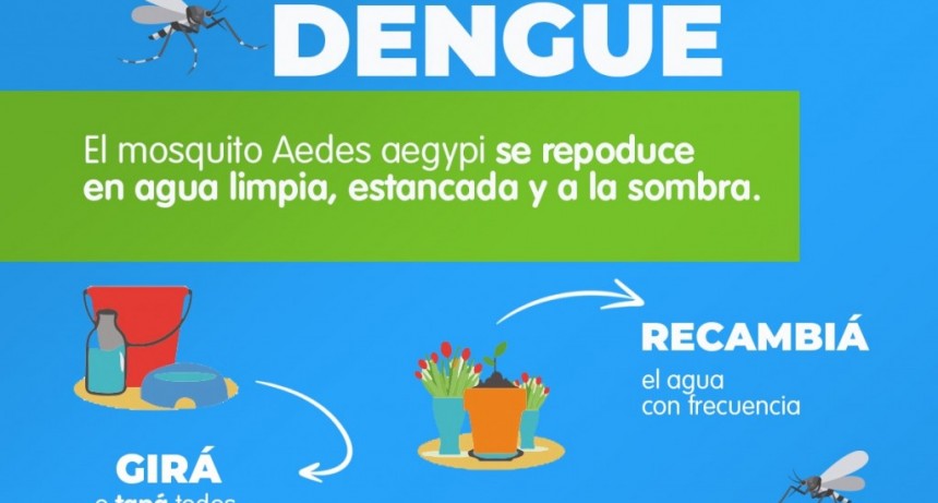 PREVENCIÓN DEL DENGUE