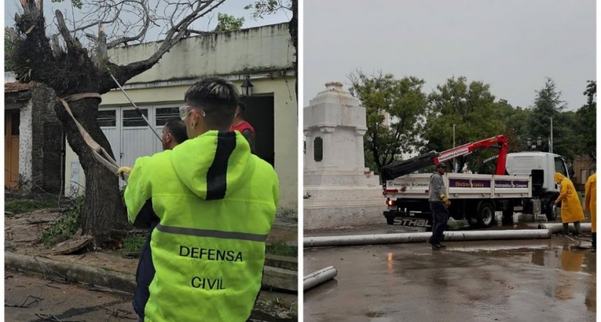 LOS EFECTOS DEL TEMPORAL EN CAMPANA