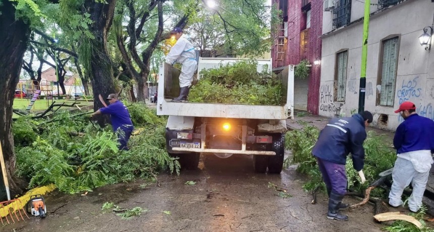 TRABAJOS DESPUÉS DEL TEMPORAL