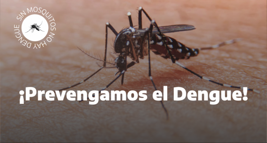 DENGUE EN CAMPANA