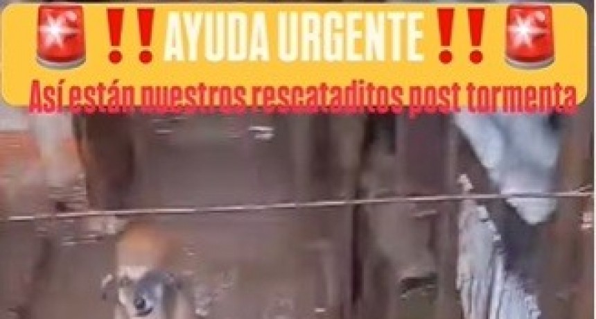 PEDIDO DE AYUDA