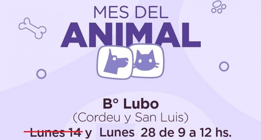 MES DEL ANIMAL