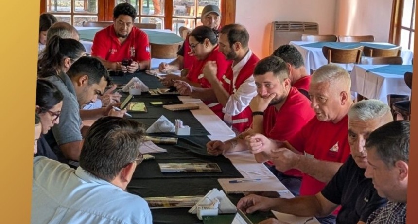 ACTIVIDAD DEL COMIT&Eacute; ZONAL