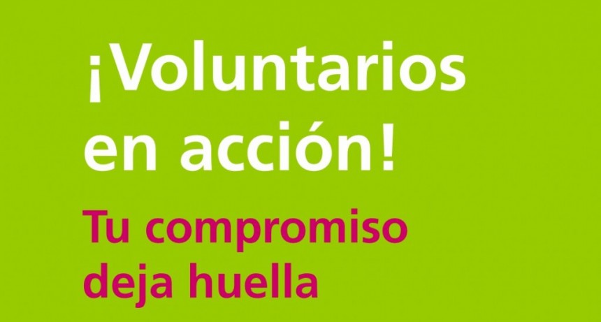 VOLUNTARIADO EN LA ESCUELA 20