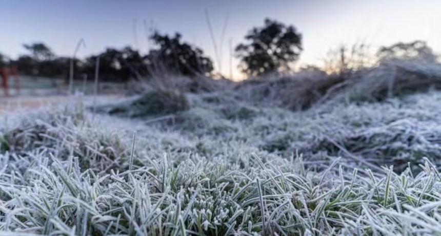 NIEVE EN CAMPANA
