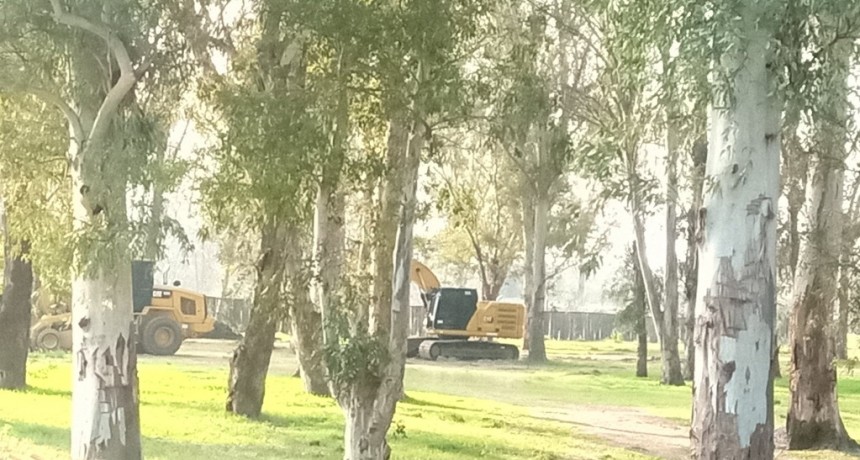 DENUNCIAN CONSTRUCCIONES ILEGALES EN EL HUMEDAL