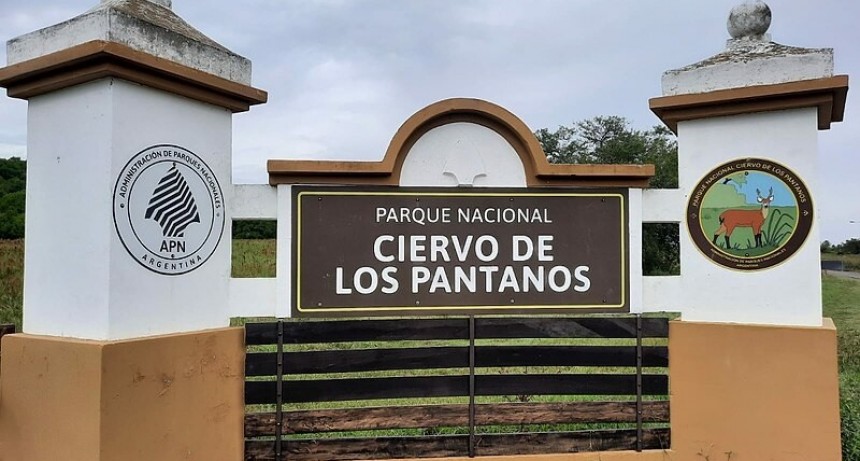 QUEMA CONTROLADA DE PASTIZALES