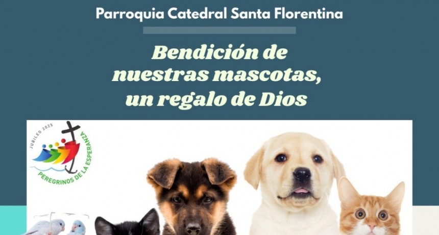 BENDICIÓN DE MASCOTAS