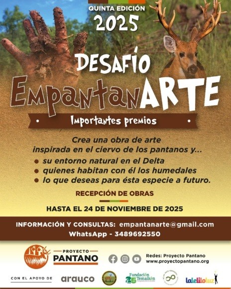 DESAFÍO EmpantanARTE