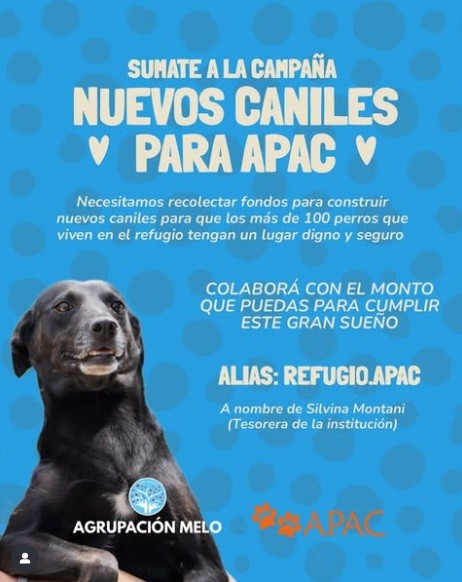 CAMINATA CANINA