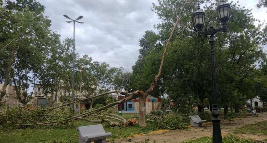 DESPUÉS DE LA TORMENTA