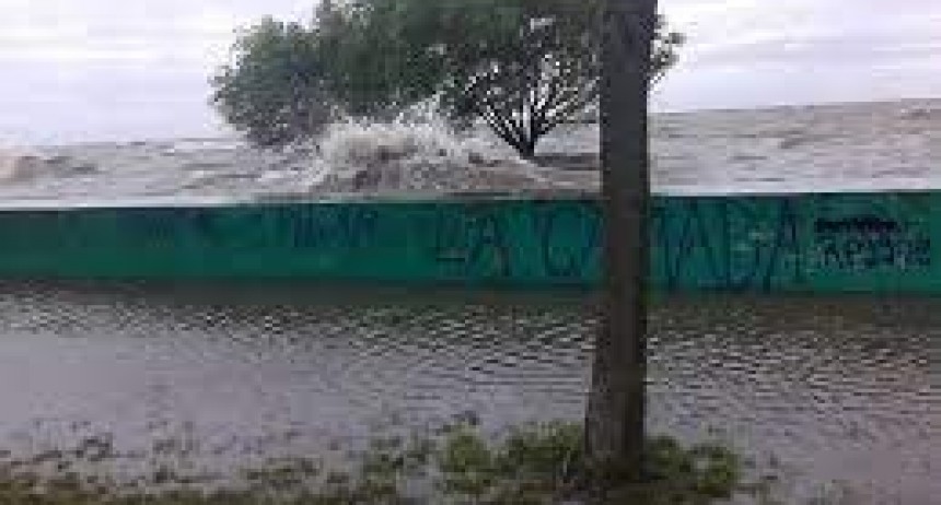 PREVENCIÓN POR LA SUDESTADA